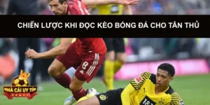 Chiến Lược khi đọc kèo bóng đá cho tân thủ
