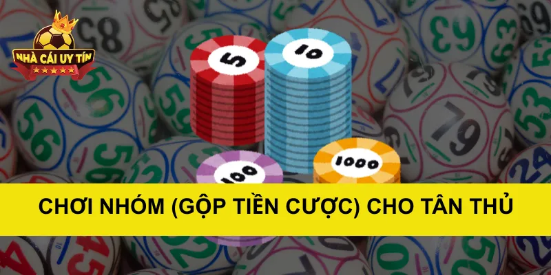 Chơi nhóm (gộp tiền cược) cho tân thủ