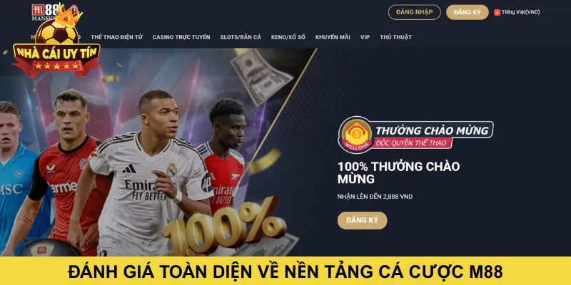 Đánh giá toàn diện về nền tảng cá cược M88