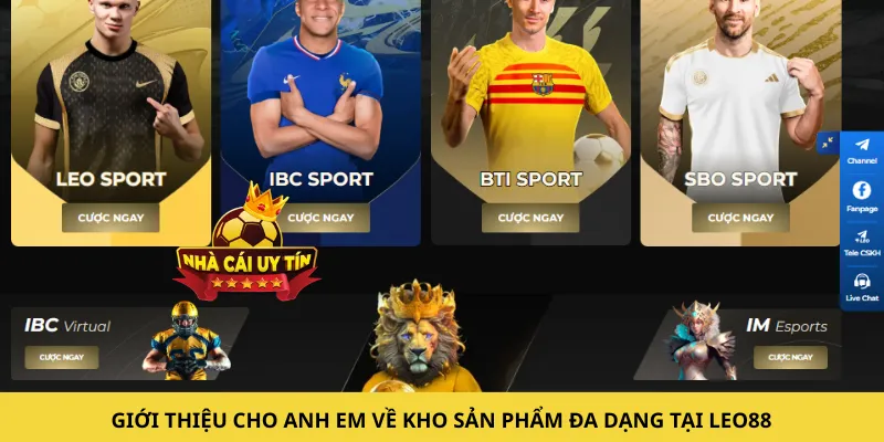 Giới thiệu cho anh em về kho sản phẩm đa dạng tại LEO88