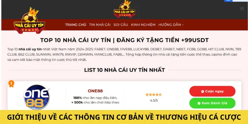 Giới thiệu về các thông tin cơ bản về thương hiệu cá cược