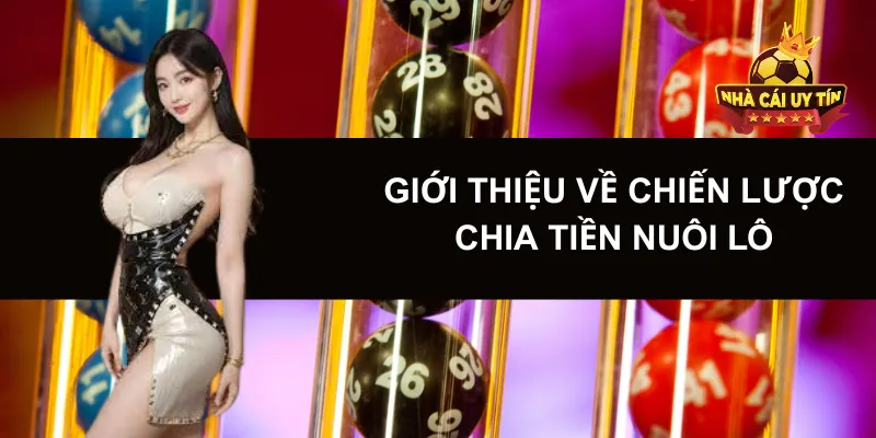 Giới thiệu về chiến lược Chia Tiền Nuôi Lô