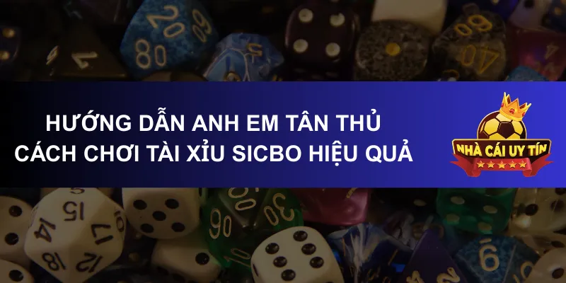 Hướng dẫn anh em tân thủ cách chơi tài xỉu sicbo hiệu quả