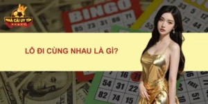 Lô Đi Cùng Nhau Là Gì?