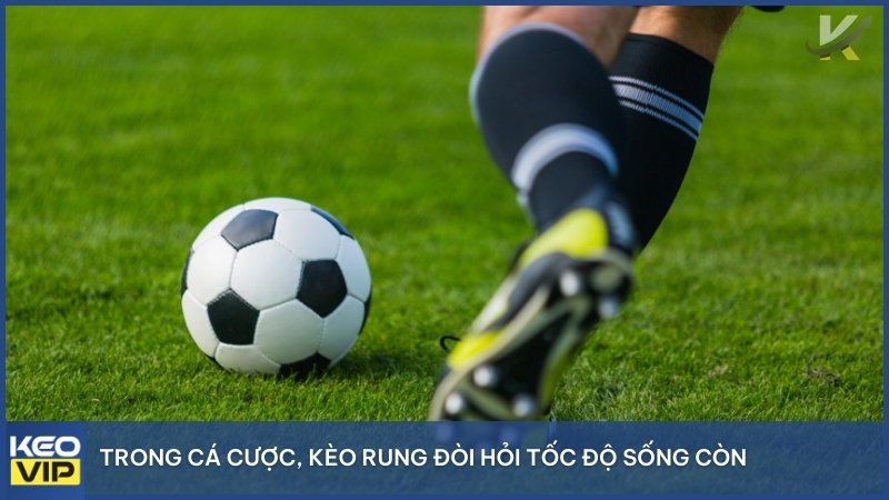 Trong cá cược trực tuyến, kèo rung đòi hỏi tốc độ tuyệt đối để không lỡ bàn thắng.